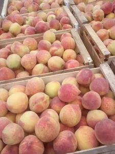 multimedia.miniatura.beb6763961c8be19.576861747341707020496d61676520323032312d31312d30322061742031332e5f6d696e6961747572612e77656270