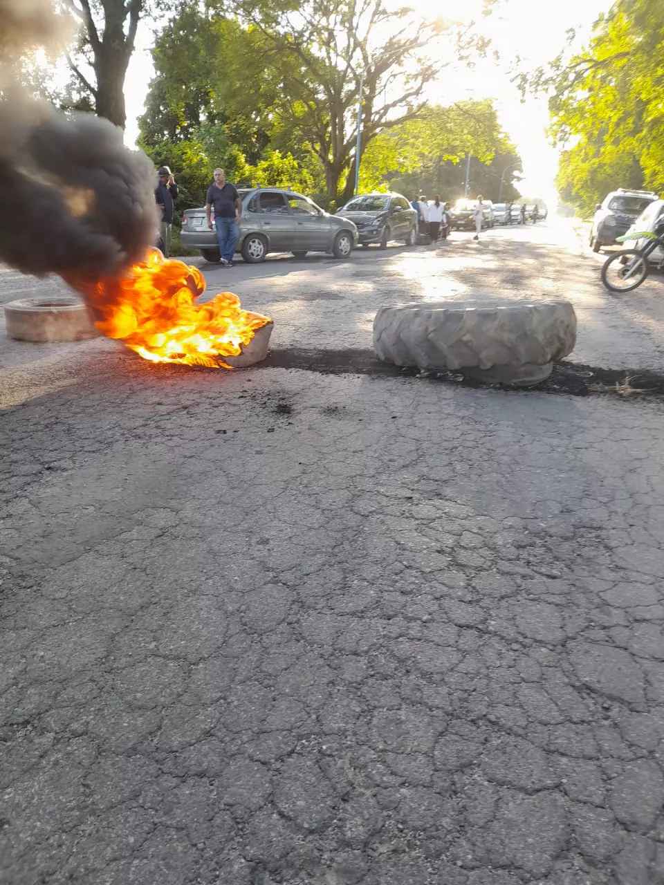 WhatsApp Image 2022-03-17 at 8.06.42 AM