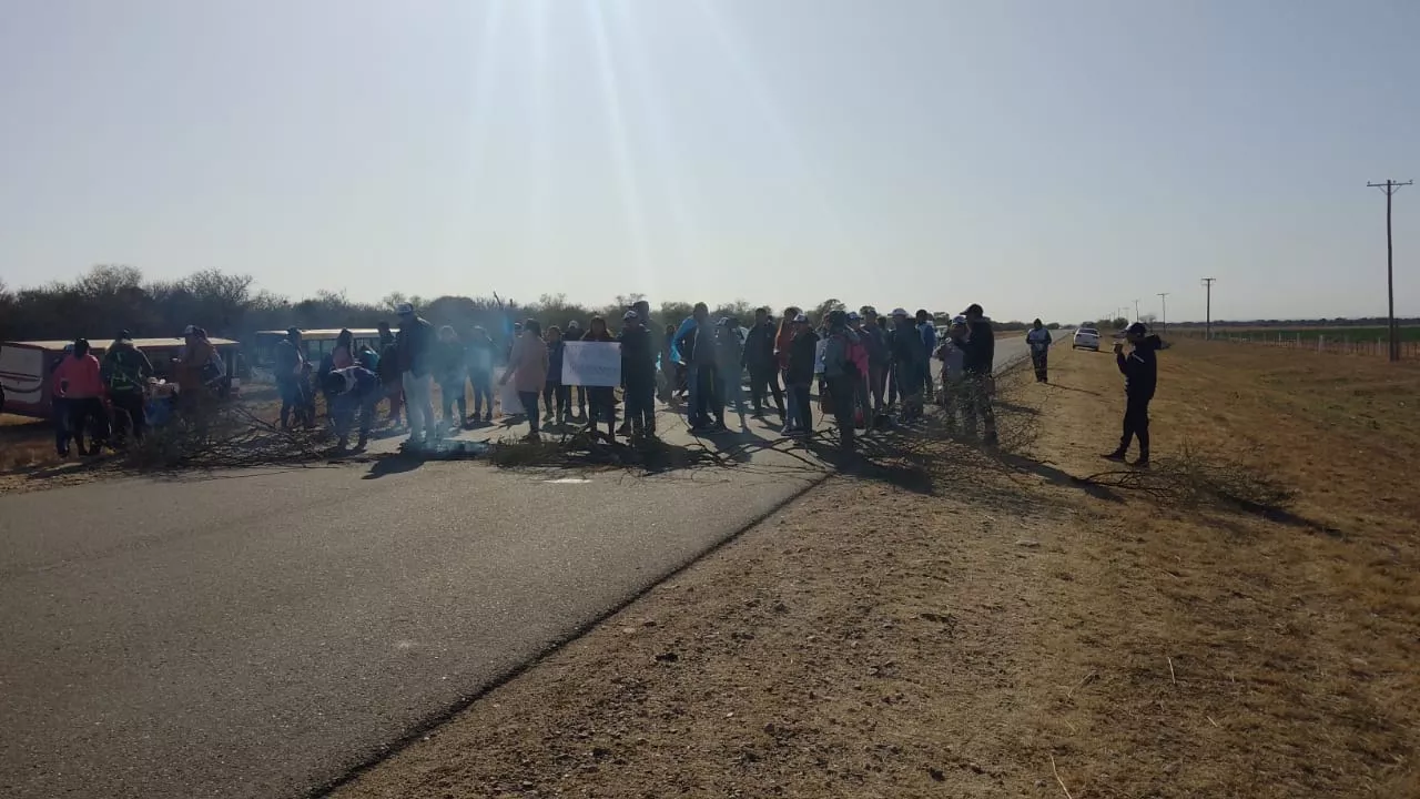 WhatsApp Image 2022-09-05 at 8.50.10 AM (1)