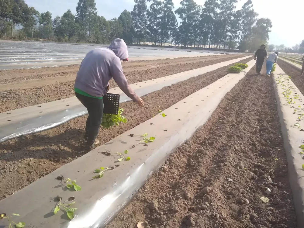 WhatsApp Image 2022-02-07 at 12.29.55