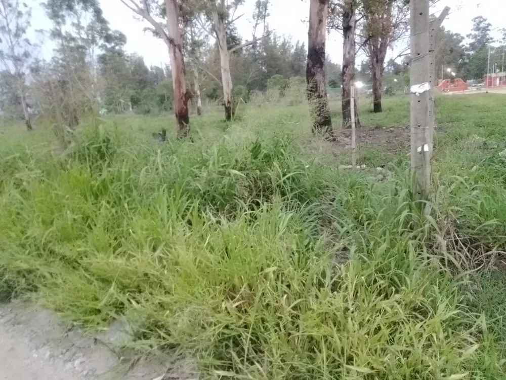 WhatsApp Image 2022-02-18 at 22.02.38 (2)