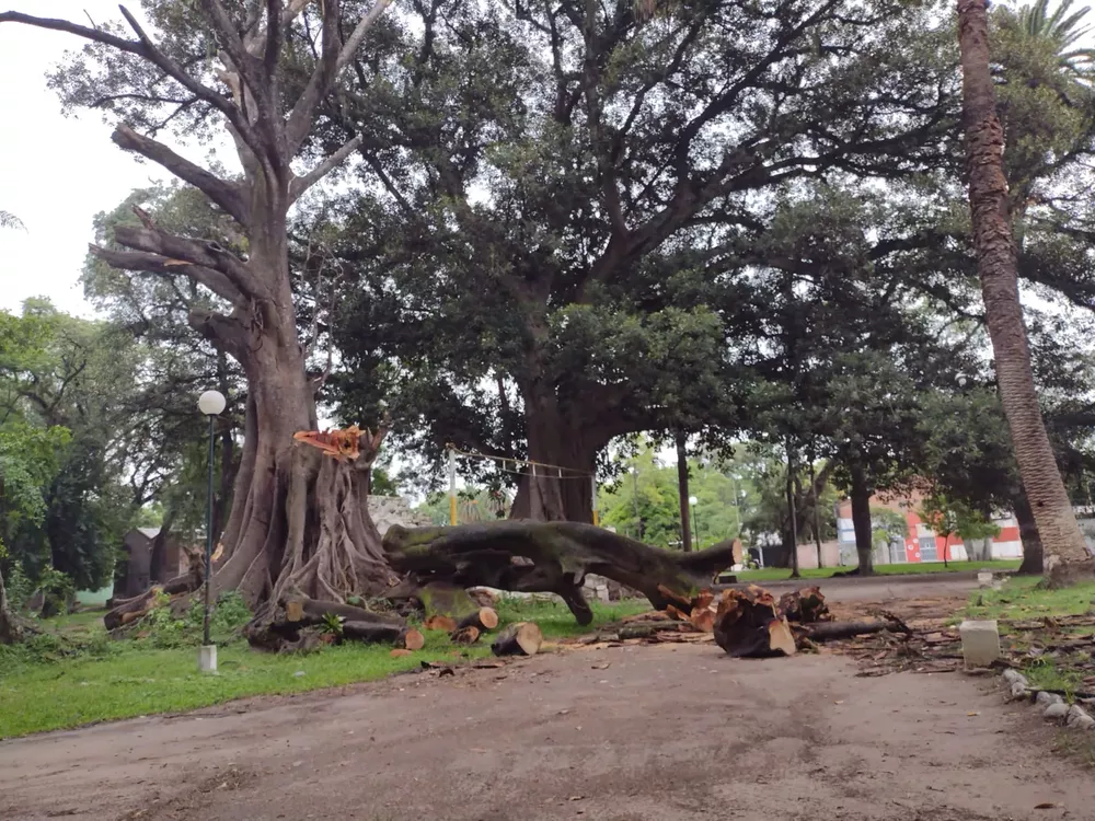 WhatsApp Image 2022-02-04 at 16.32.27