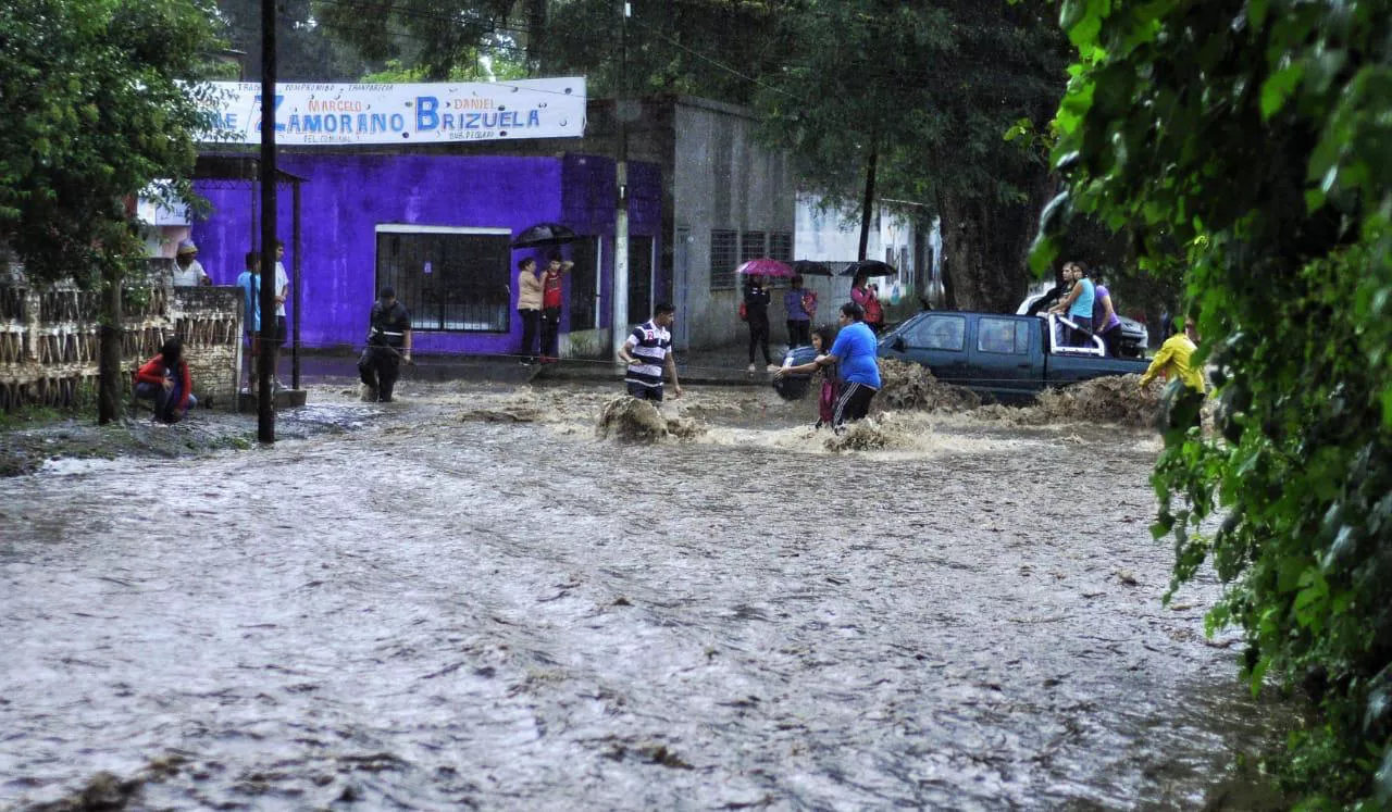 56377089_2786455574714786_1729270892703252480_n