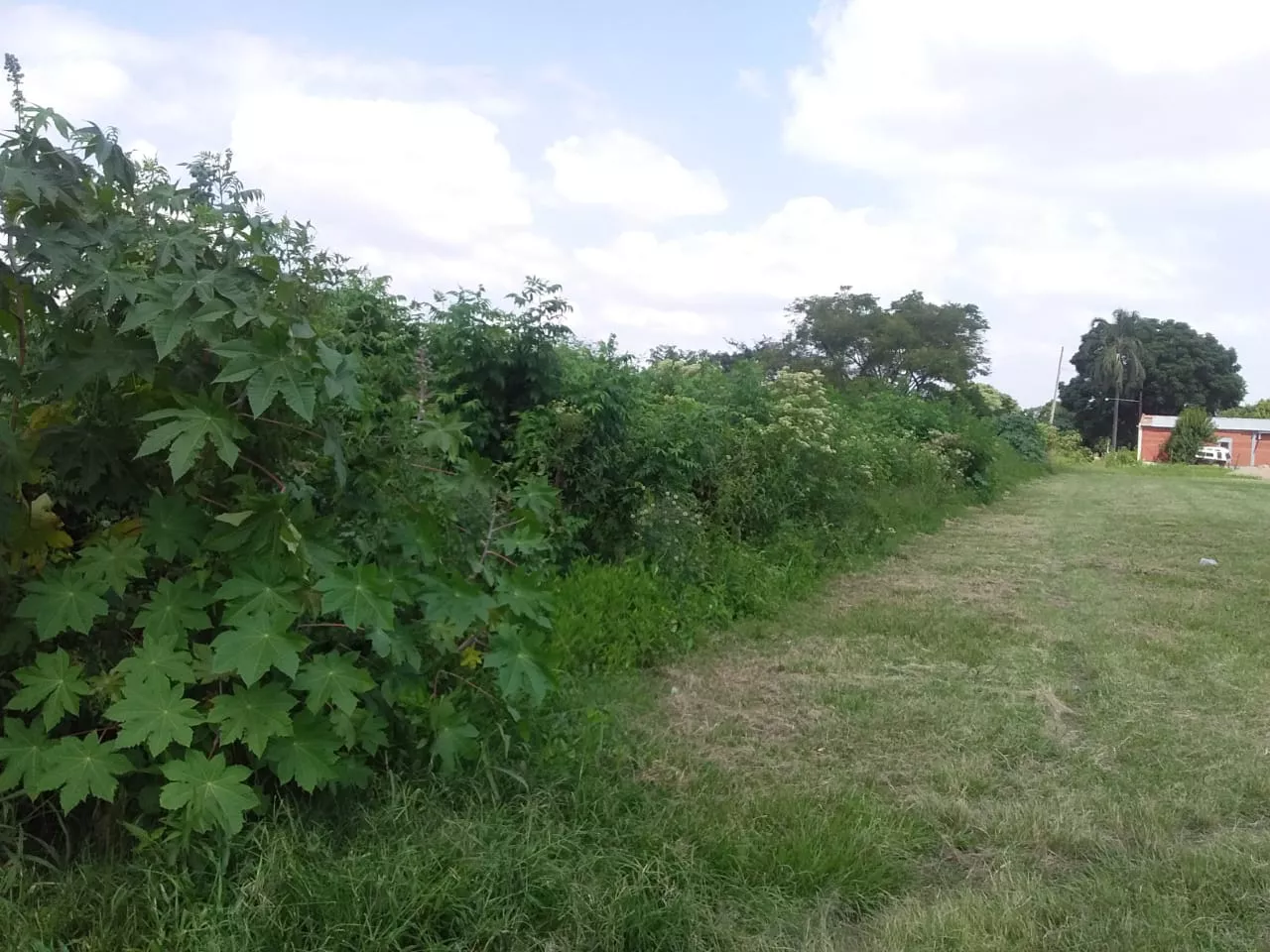 WhatsApp Image 2022-03-24 at 12.23.34 PM