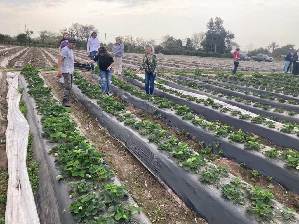 WhatsApp Image 2022-07-29 at 9.22.13 AM (8)