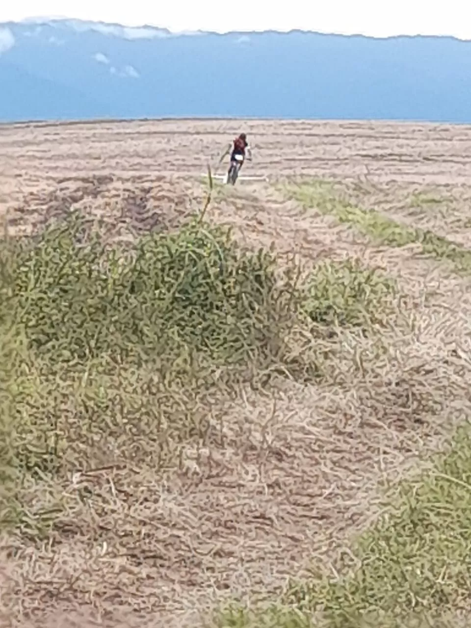 WhatsApp Image 2022-05-08 at 2.48.51 PM