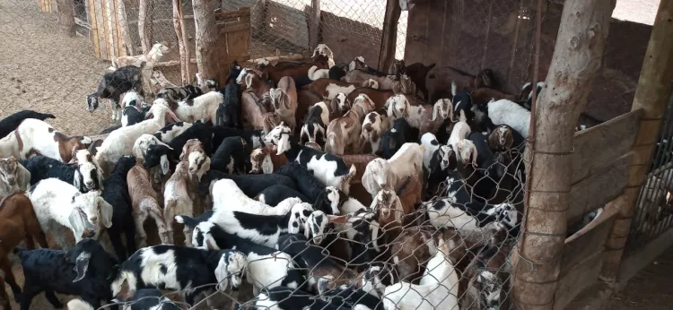 WhatsApp-Image-2022-03-03-at-8.47.22-PM-750x346