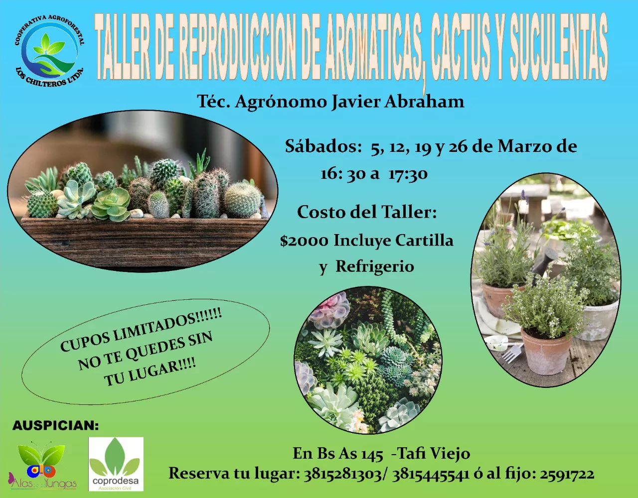 WhatsApp Image 2022-02-26 at 14.24.37 (1)