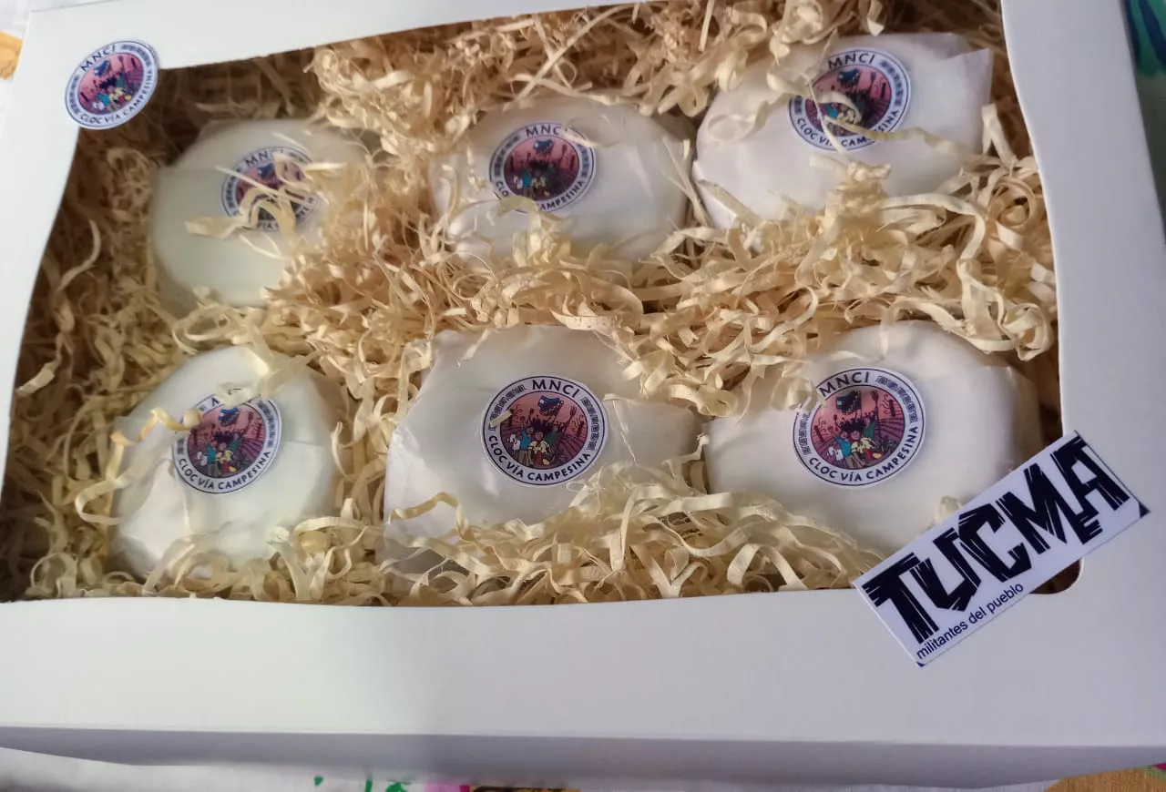 WhatsApp Image 2022-07-29 at 1.00.17 PM