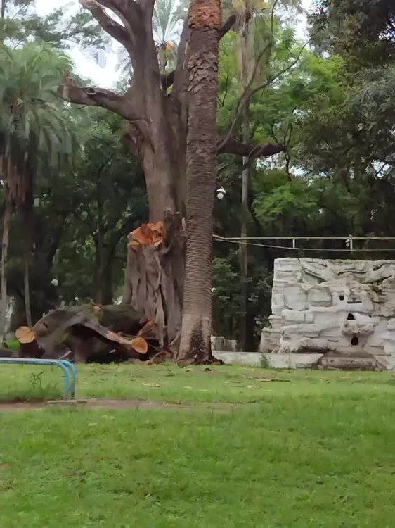 WhatsApp Image 2022-02-04 at 16.32.26