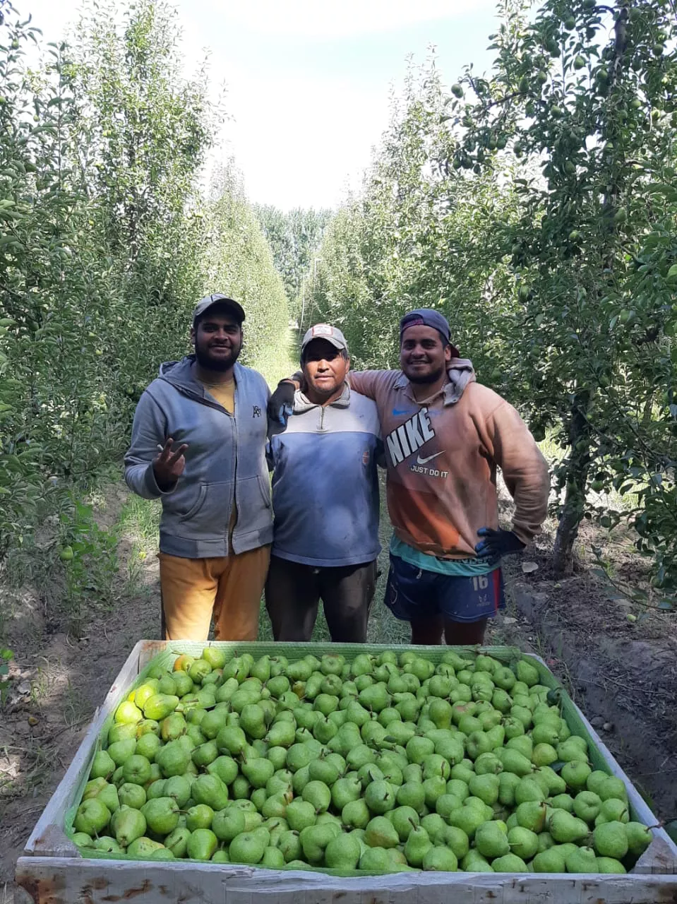 WhatsApp Image 2022-02-19 at 22.13.09 (1)