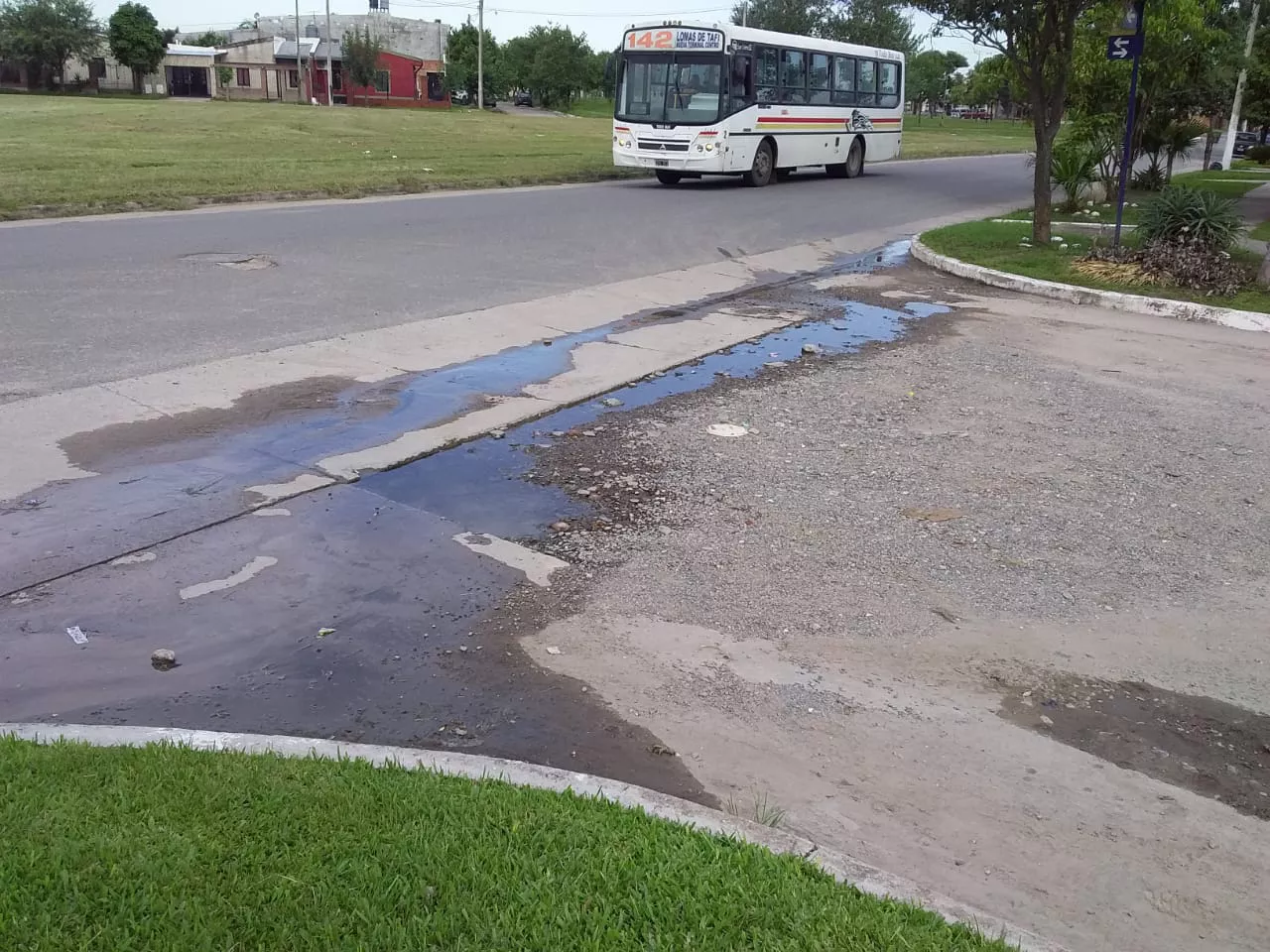 WhatsApp Image 2022-02-26 at 16.55.24