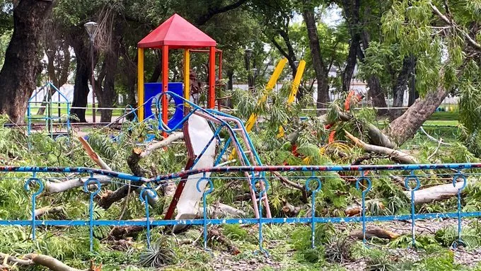 multimedia.normal.bc8ceb15cbf95122.c3a172626f6c2063616520736f627265206a7565676f7320696e66616e74696c5f6e6f726d616c2e77656270