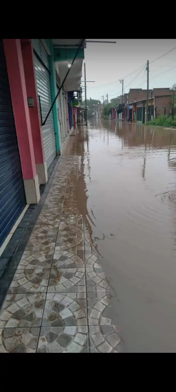 WhatsApp Image 2022-03-06 at 5.25.49 PM