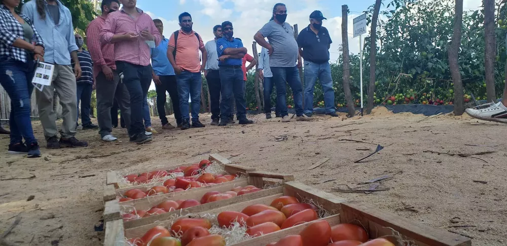 WhatsApp Image 2021-11-12 at 18.28.37