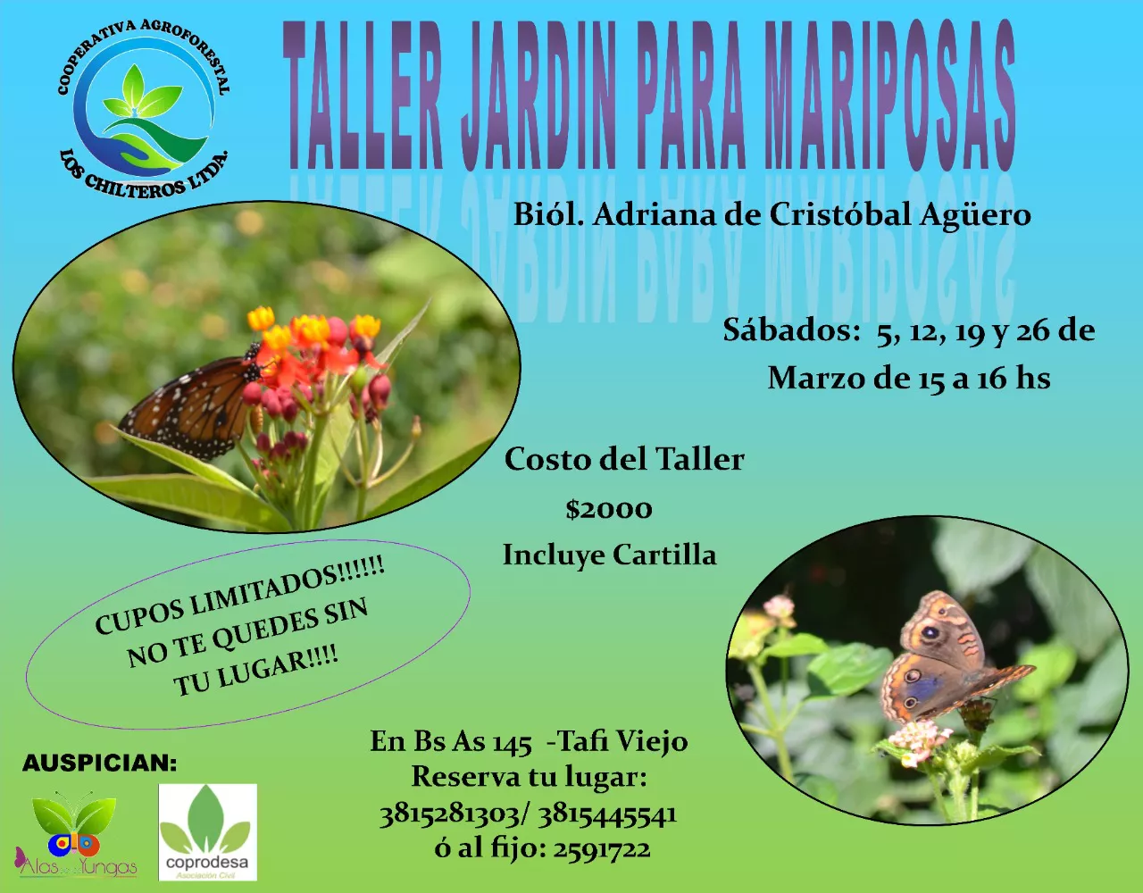 WhatsApp Image 2022-02-26 at 14.24.37