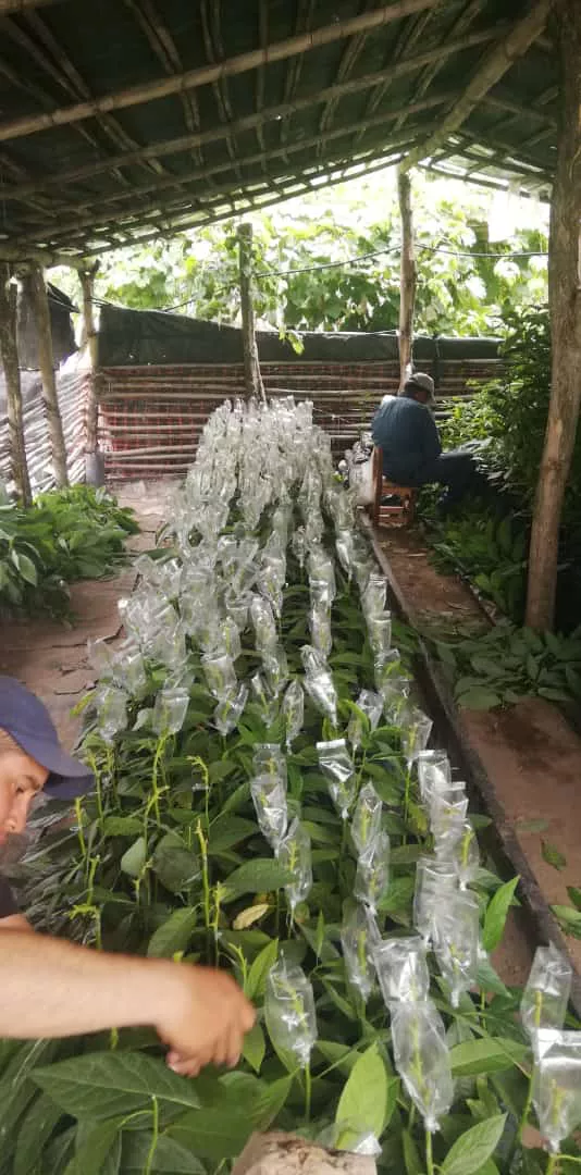 WhatsApp Image 2021-12-08 at 14.07.43 (1)