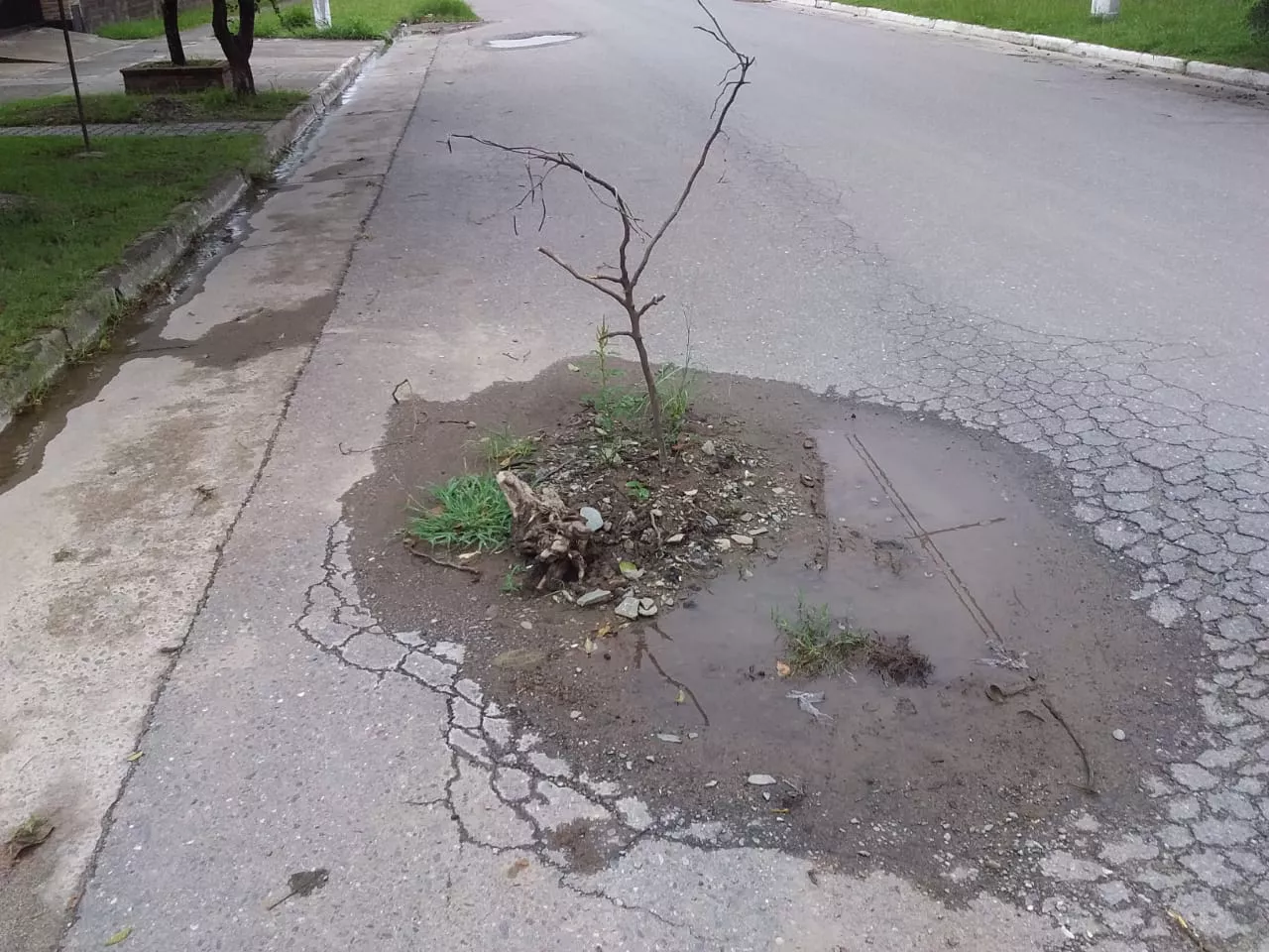 WhatsApp Image 2022-01-24 at 12.02.13