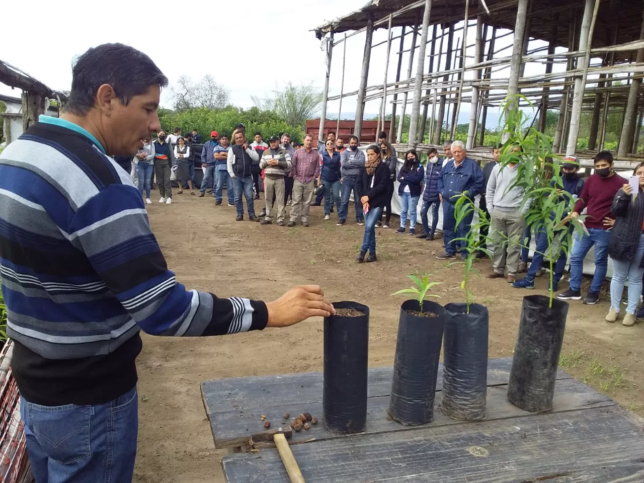 WhatsApp Image 2021-11-17 at 14.42.35