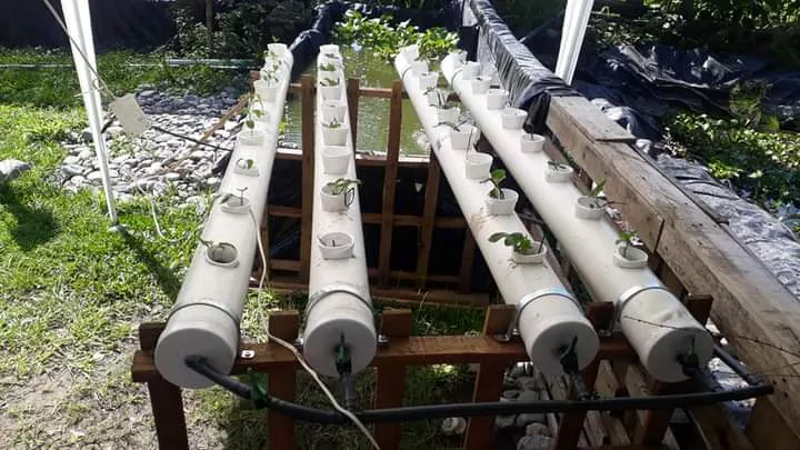 WhatsApp Image 2022-04-05 at 7.31.39 PM