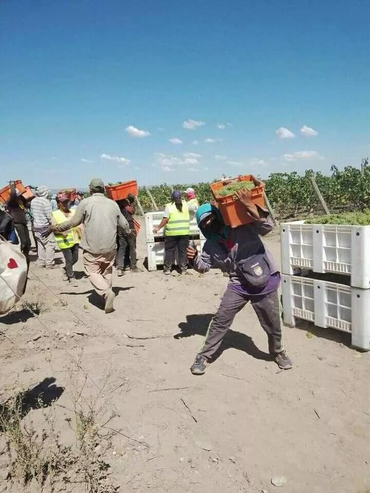 WhatsApp Image 2022-02-19 at 22.14.04