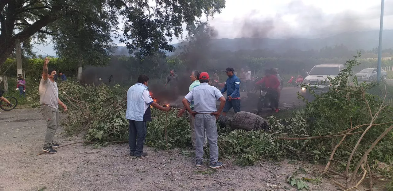 WhatsApp Image 2022-03-18 at 7.46.10 AM