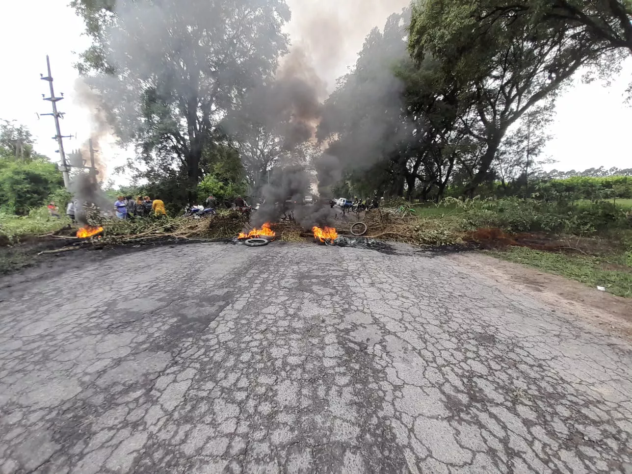 WhatsApp Image 2022-03-21 at 11.30.39 AM (2)