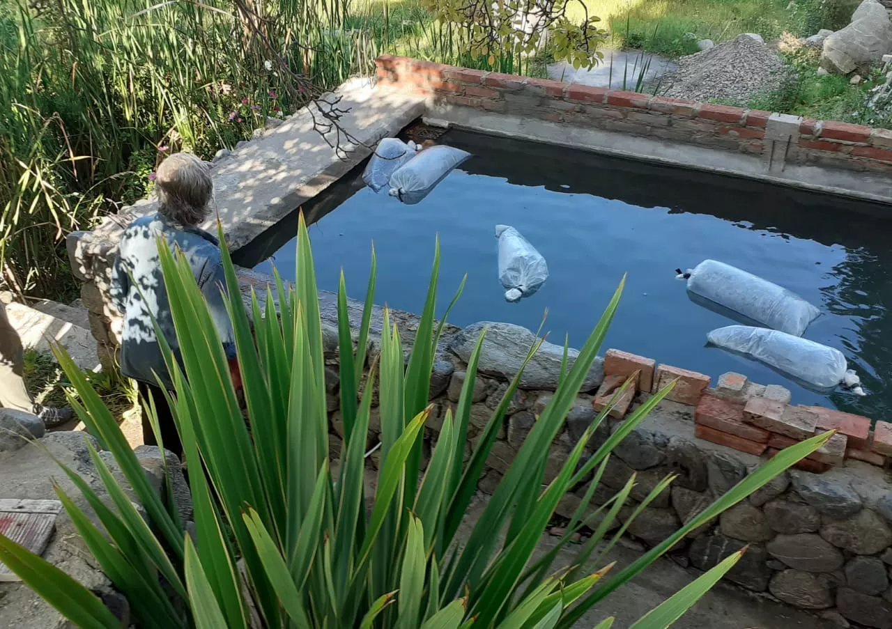 274731476_1062262407661278_3226440660486327418_n