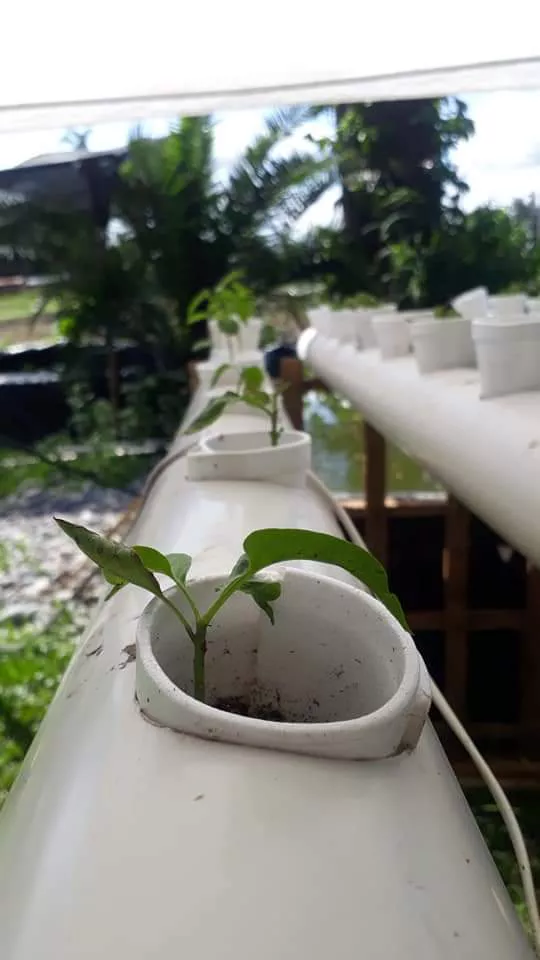 WhatsApp Image 2022-04-05 at 7.31.39 PM (1)