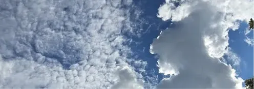 498618244_9982138808472818_6726070868314790735_n