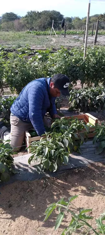 226593730_1155151908316041_5953846353175863432_n