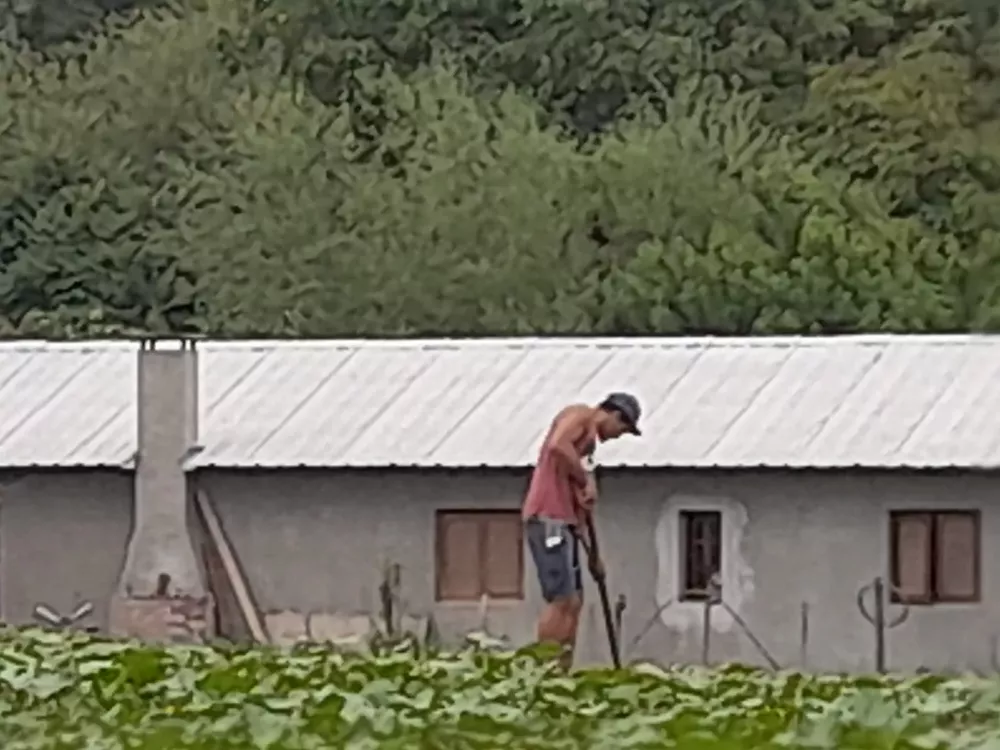 WhatsApp Image 2022-01-11 at 16.48.51