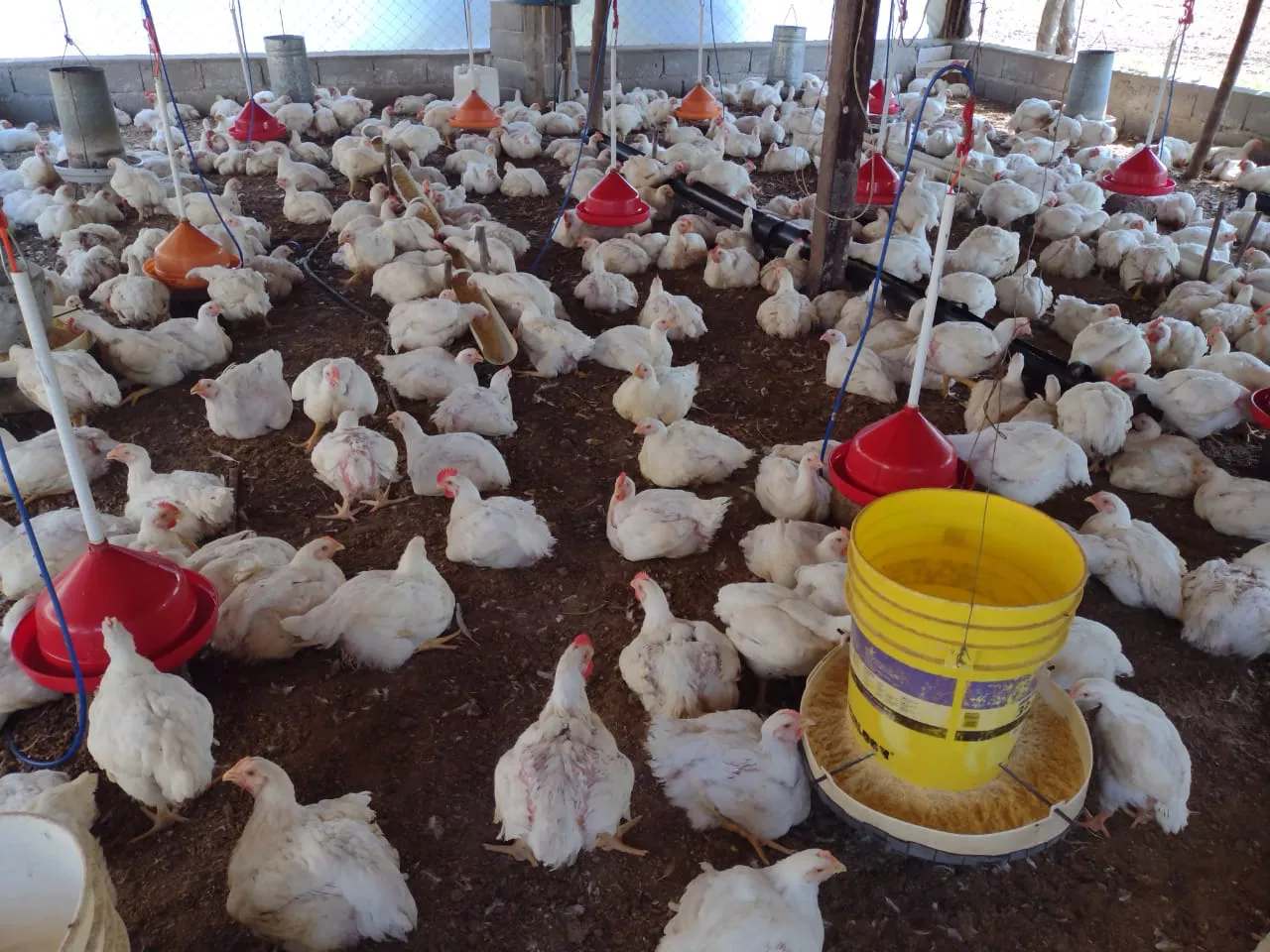 WhatsApp Image 2021-12-11 at 10.54.33