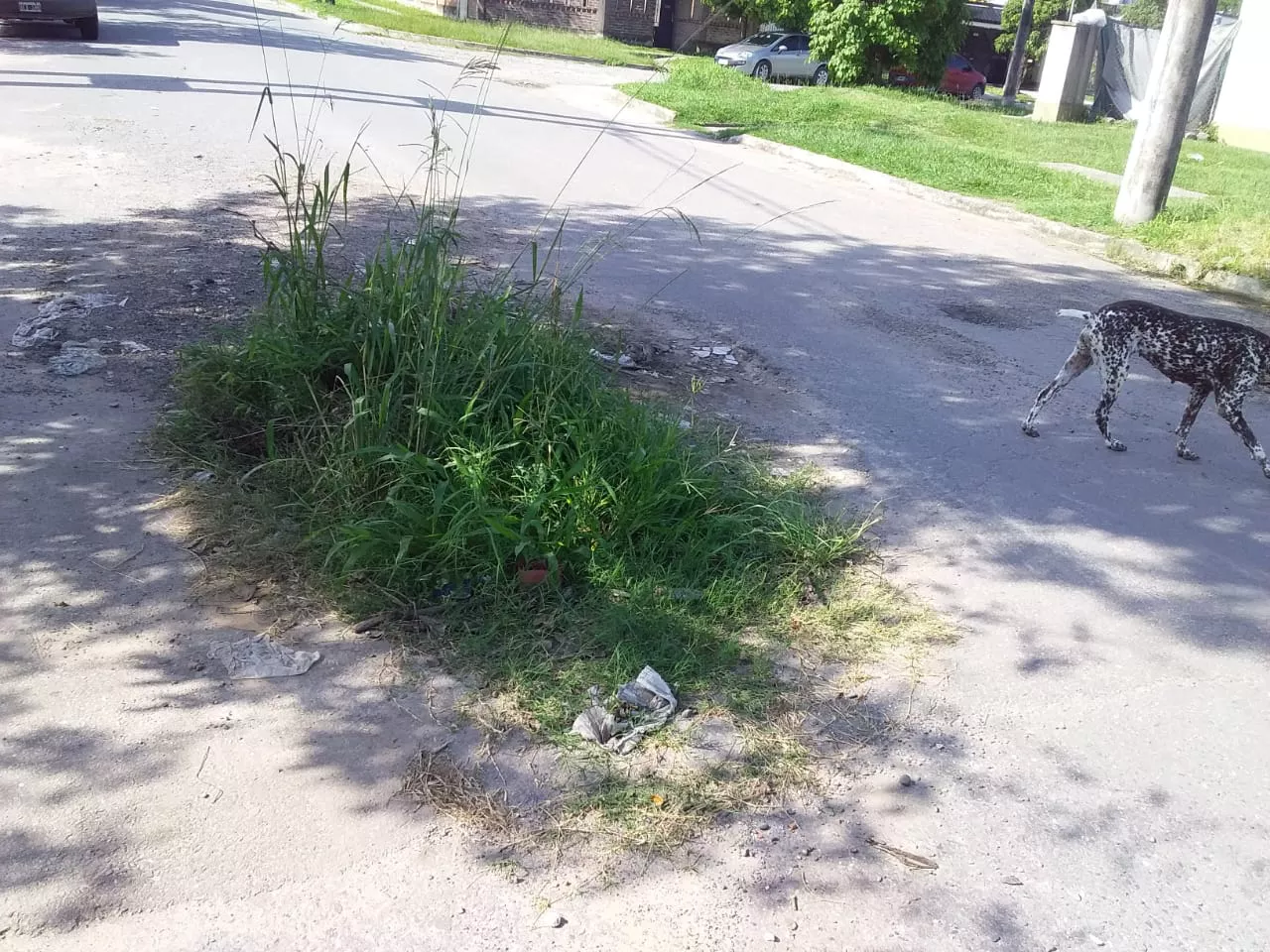 WhatsApp Image 2022-02-26 at 16.09.28