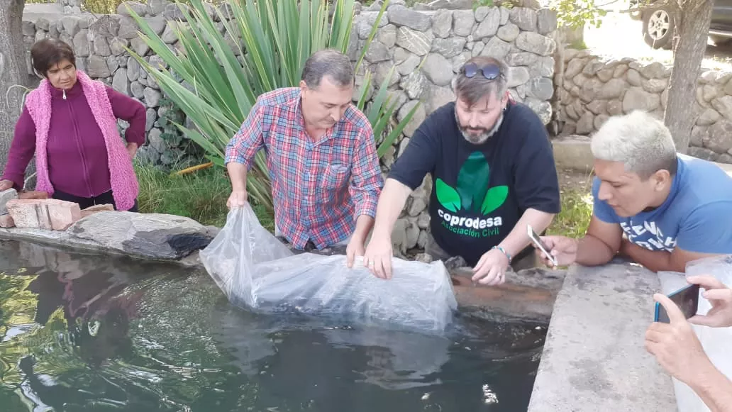 275012966_1062262294327956_6981925857862111728_n