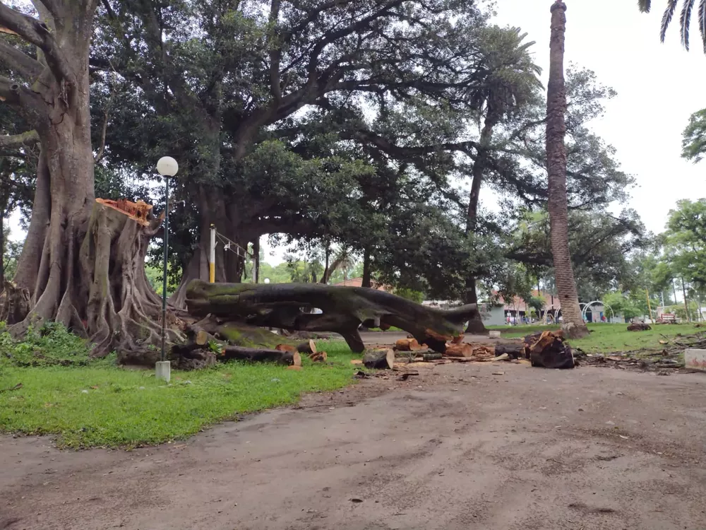 WhatsApp Image 2022-02-04 at 16.32.27 (1)