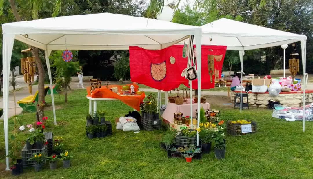 WhatsApp Image 2022-05-07 at 1.56.02 PM