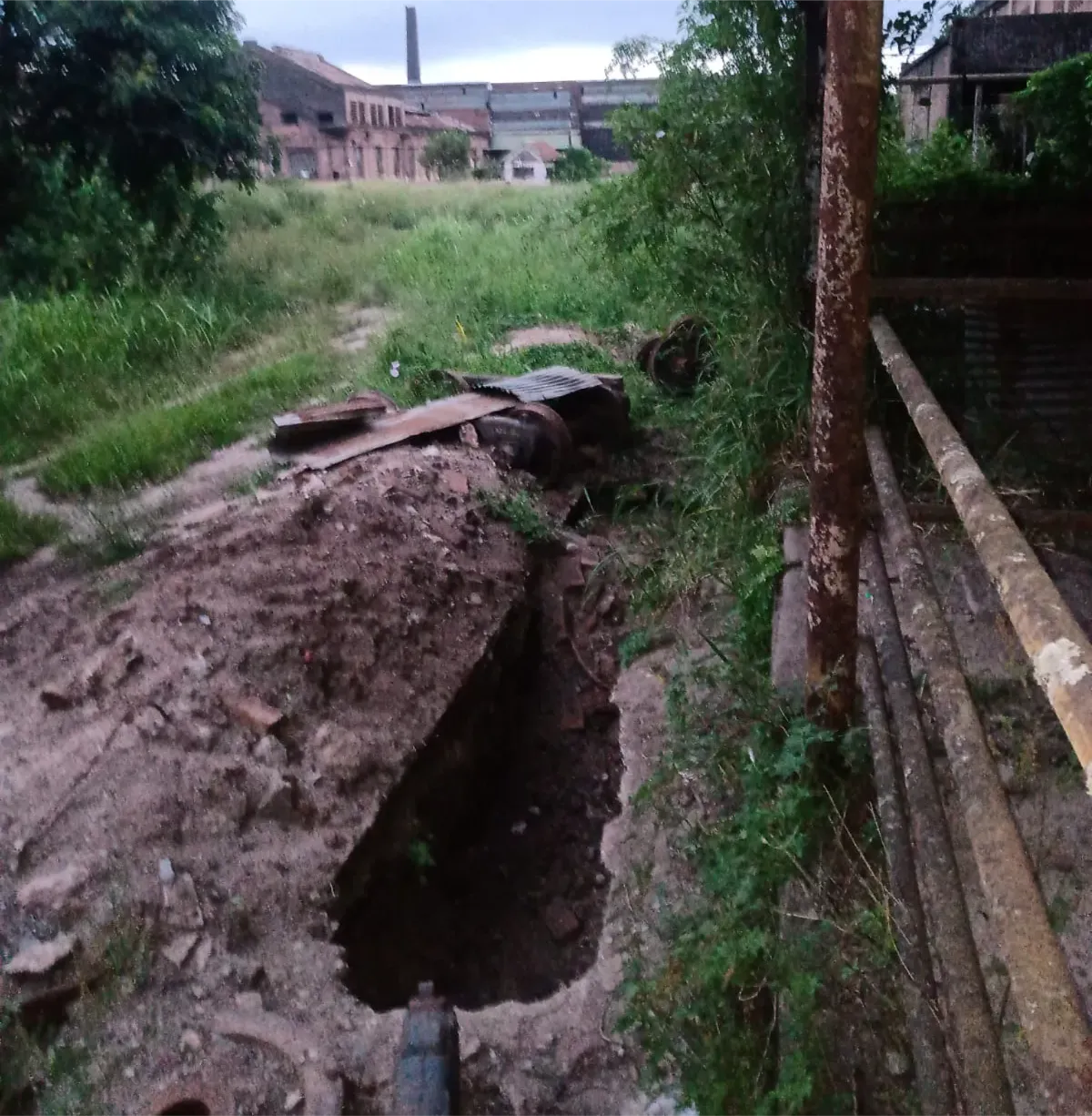 WhatsApp Image 2025-02-27 at 07.27