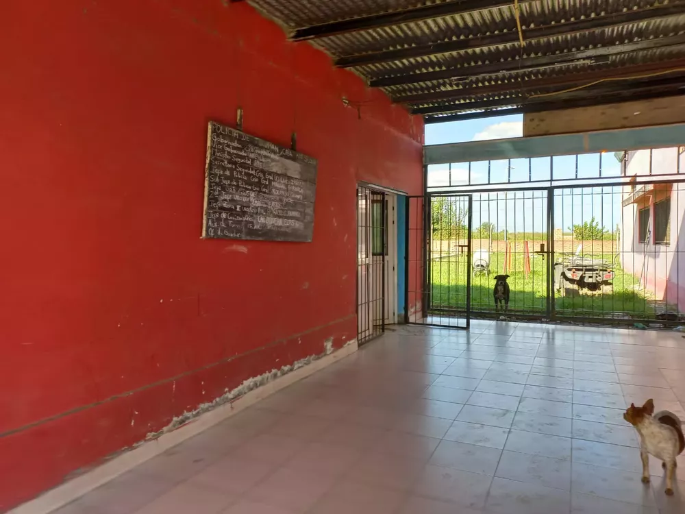 WhatsApp Image 2022-03-24 at 3.29.48 PM