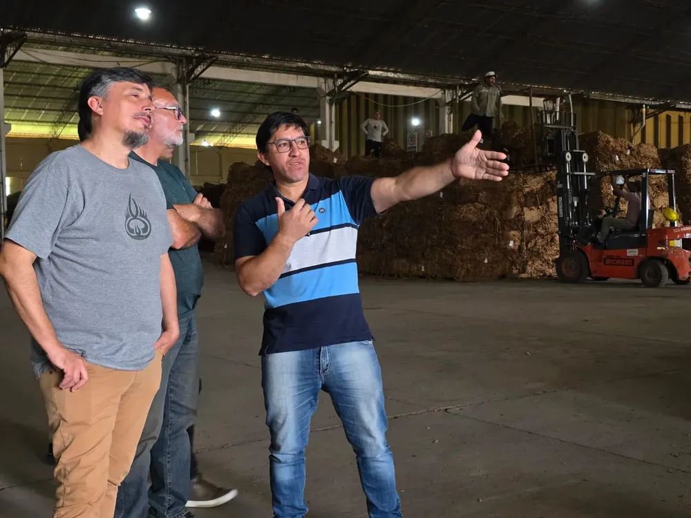 WhatsApp Image 2025-03-17 at 16.45.34