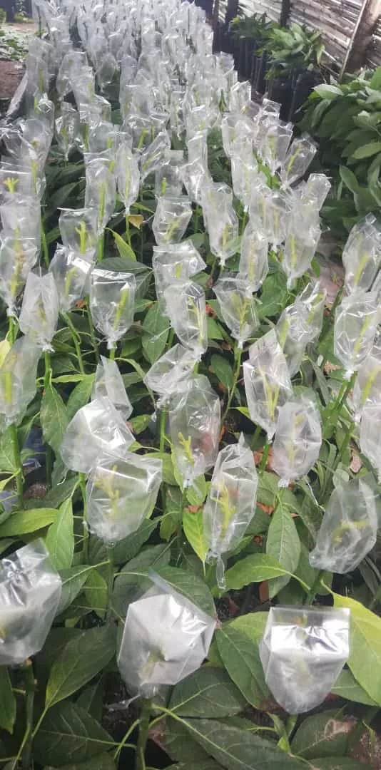 WhatsApp Image 2021-12-08 at 14.07.43 (2)