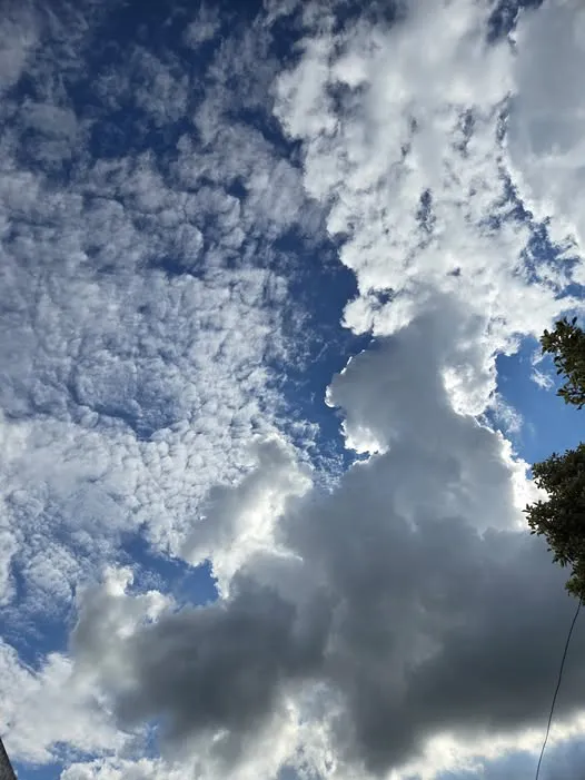 498618244_9982138808472818_6726070868314790735_n