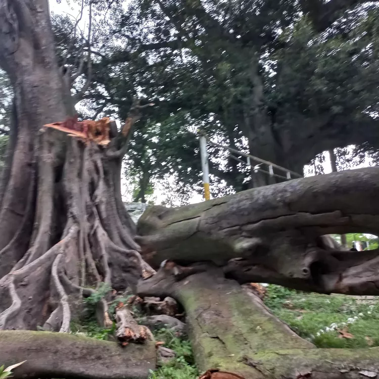 272973174_1139714496766187_6382759037540367070_n