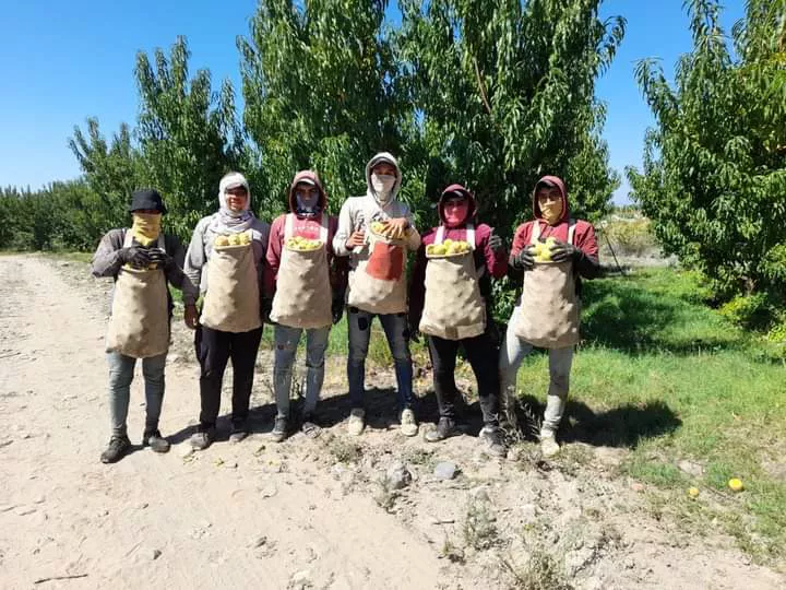 WhatsApp Image 2022-02-19 at 22.13.27