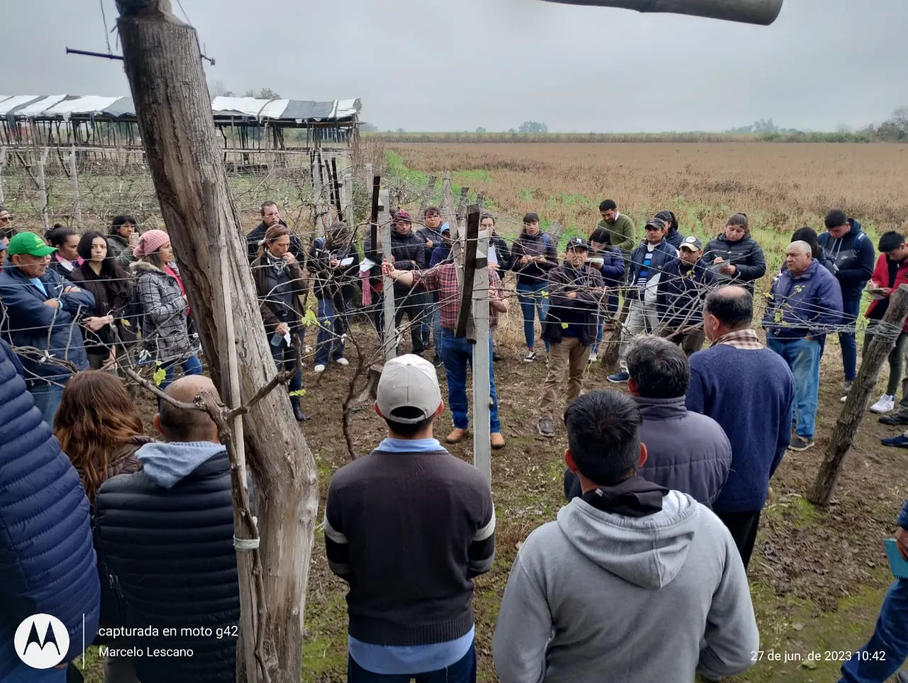 WhatsApp Image 2023-06-27 at 16.56.38