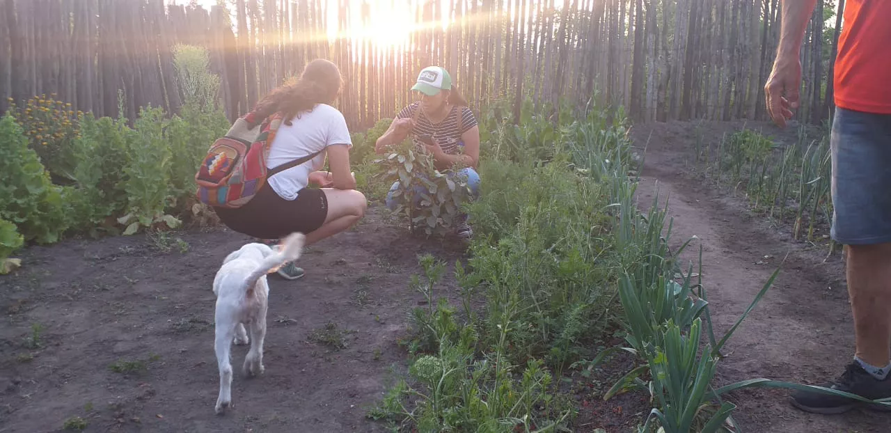 WhatsApp Image 2021-09-27 at 6.33.10 PM