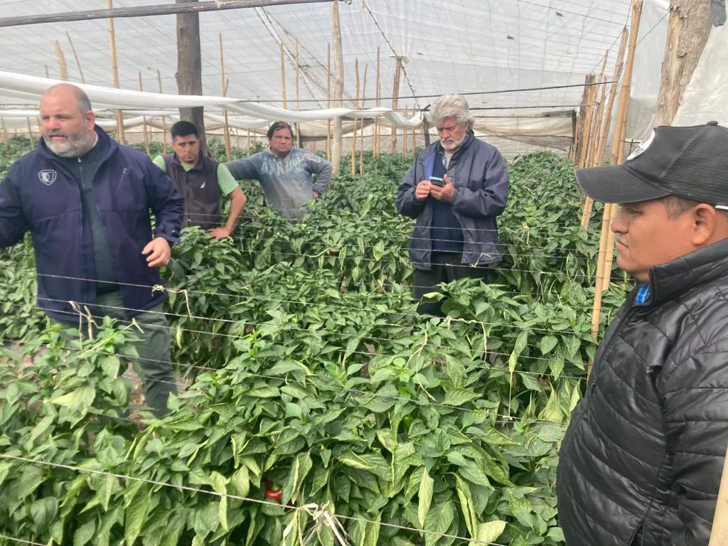 WhatsApp Image 2022-08-09 at 9.14.40 PM