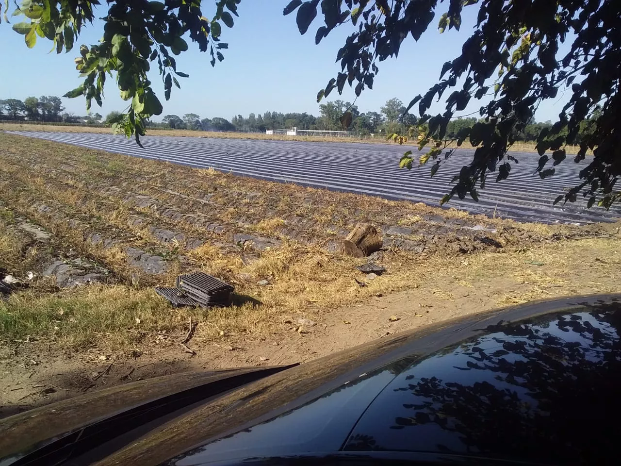 WhatsApp Image 2022-03-29 at 3.55.21 PM (2)