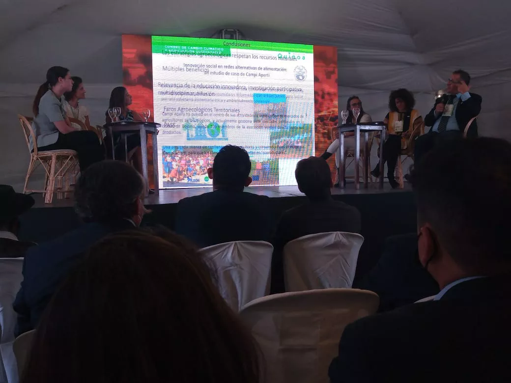 WhatsApp Image 2022-02-09 at 18.13.40 (1)