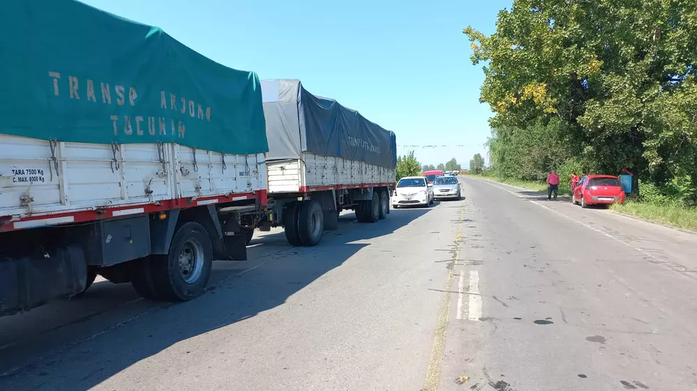 WhatsApp Image 2022-03-22 at 11.16.16